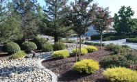 san leandro wood metal trellis espalier