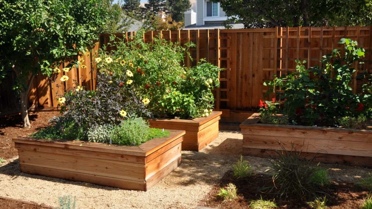 raised planter gardens in backyard renovation