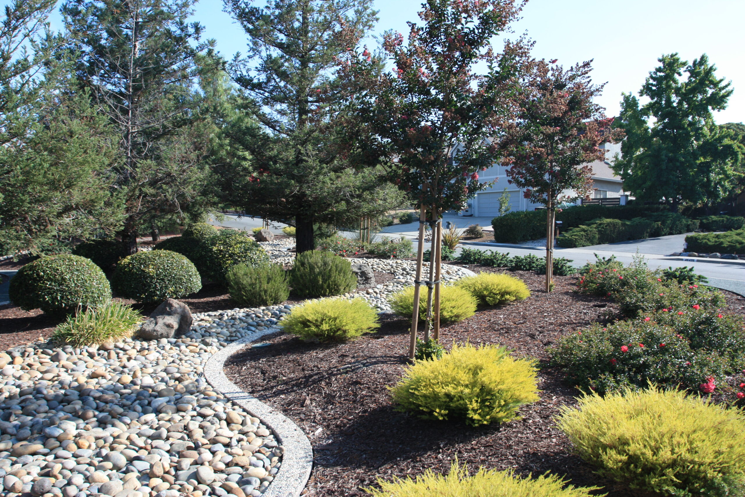 san leandro wood metal trellis espalier