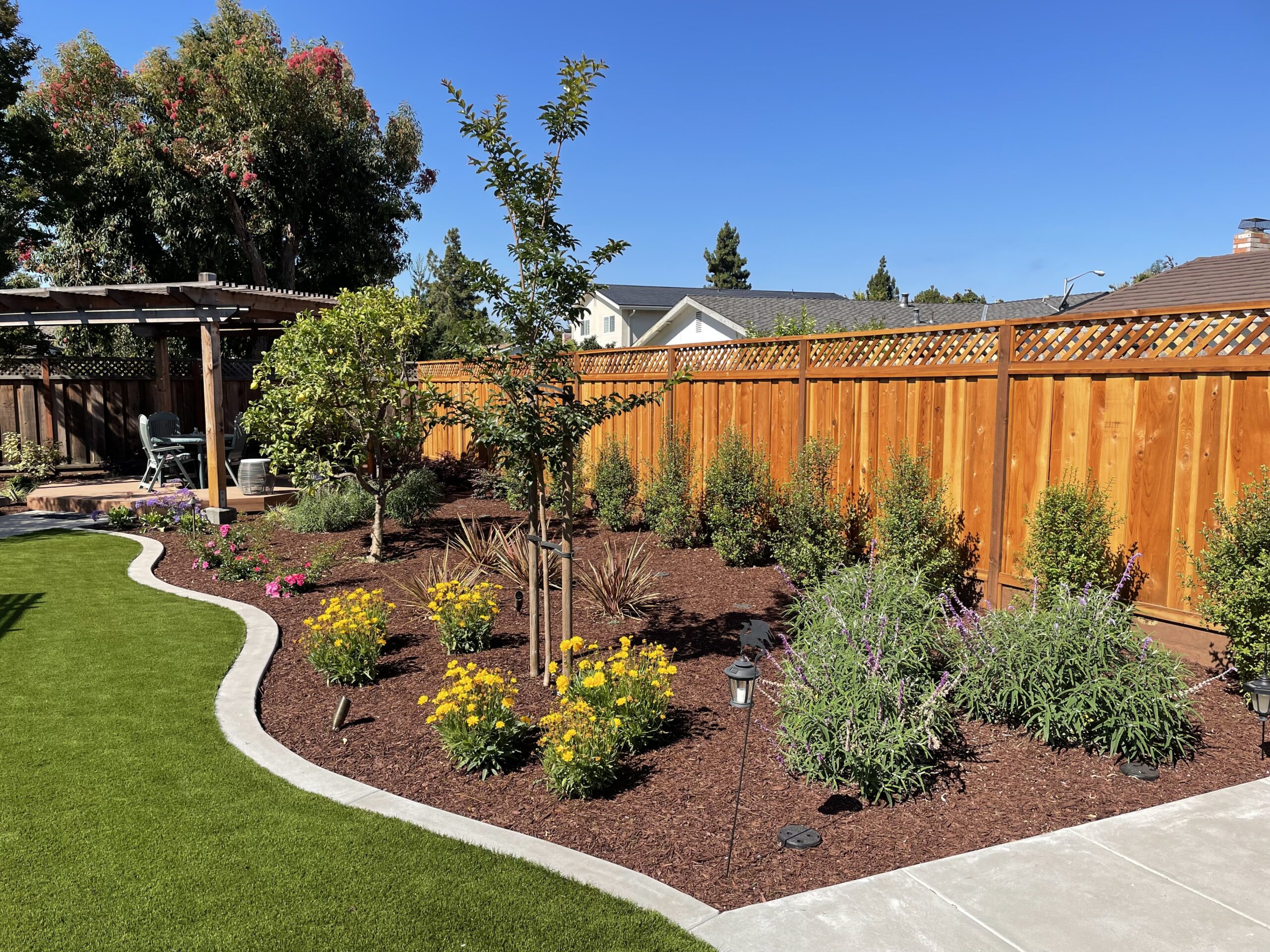 trellis jasmine vines installed in san leandro