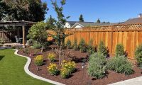 trellis jasmine vines installed in san leandro
